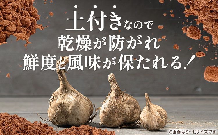 土付き にんにく 白玉王 1kg Mサイズ 本別町産 斎啓一 北海道 本別町 送料無料 ニンニク ガーリック 乾燥にんにく スタミナ 野菜 1キロ