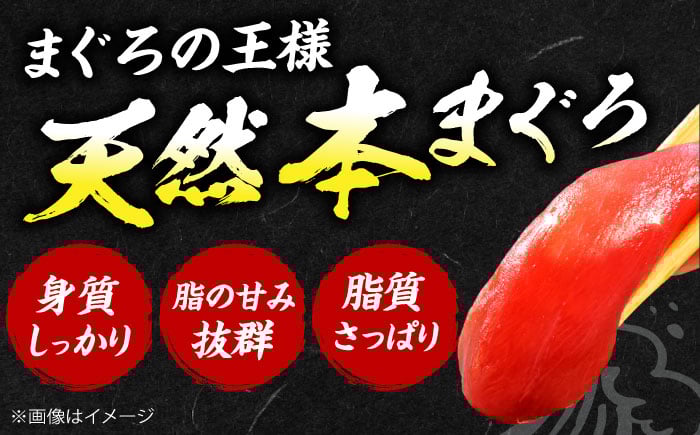 魚介類 海鮮丼 本マグロ 本まぐろ 本鮪 赤身 大トロ 冷凍 お刺身 お寿司