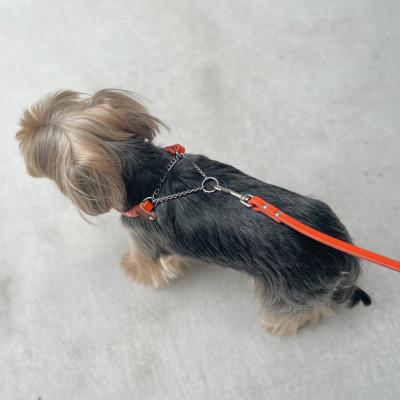 ふるさと納税 松原市 【本革】小型犬用　首輪　マイスタープラス　レザーハーフチェーンカラー　カーキ　#15L |  | 03
