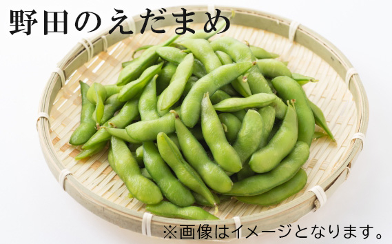 
                  野田のえだまめ ／ 枝豆 エダマメ 野菜 千葉県 No.237
                