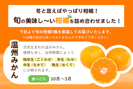 【先行予約】柑橘詰め合わせセット 5種・10kg 柑橘