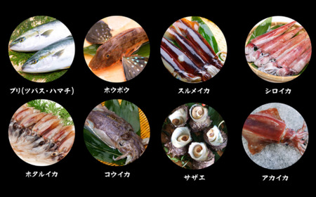 香住の朝獲れ地魚セット 期間限定 4～5種類詰め合わせ 1.5kg～2kg程度 33-11