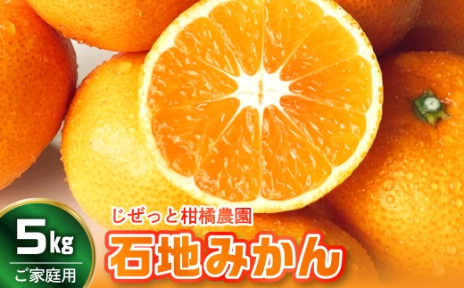 【先行受付】【2026年11月上旬～発送】滴る果汁・甘〜い石地みかん5kg 家庭用　ku212-001-26