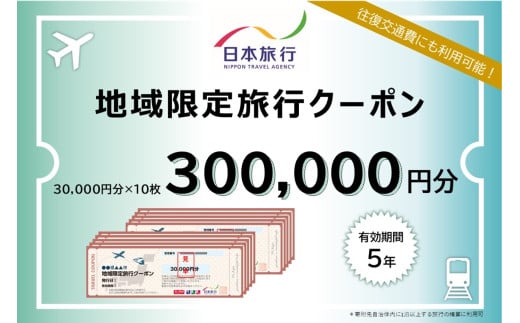 【長野県飯山市】日本旅行 地域限定旅行クーポン300,000円分 (A-100)