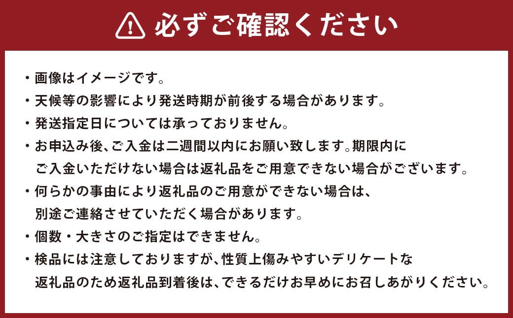 新玉ねぎ約10kg
