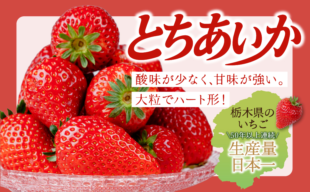 【先行受付：2月以降発送】いちご 鈴木ファームの完熟＆朝採れ とちあいか 大粒 約270g × 4パック 合計 約1080g | いちご イチゴ 苺 とちあいか とちおとめ 完熟 甘い あまい 果物 