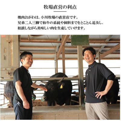 ふるさと納税 雲仙市 【毎月定期便】焼肉おがわ 長崎和牛焼肉 4種(上バラ・上モモ・上ロース・上カルビ)(雲仙市)全12回 |  | 03