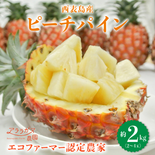 アララガマ農園発祥のピーチパイン。香り高く女性人気NO.1！国内流通量1％未満、幻の完熟ピーチパイン　ピーチパイン2kg（2～4玉）