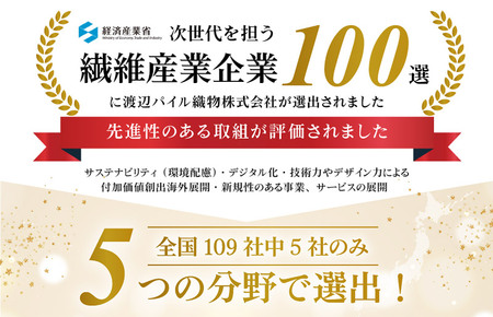 （今治タオルブランド認定）ほわほわサンホーキンバスタオル 1枚 グリーン 今治タオル [I002360MBT1G]