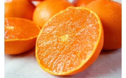 
                  【ご家庭用訳あり】ジューシー柑橘 せとか 約3kg【先行予約】※2027年2月下旬頃〜3月中旬頃発送予定（お届け日指定不可） せとか みかん ミカン 柑橘 フルーツ 果物 くだもの【uot834A】
                