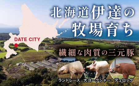 北海道 豚ひき肉 あら挽き 200g 22パック 計4.4kg【ooy-003】
