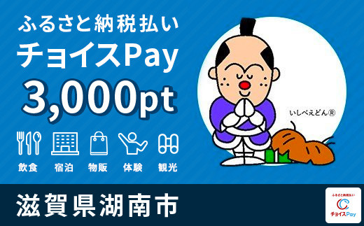 
湖南市 チョイスPay 3,000ポイント【会員限定のお礼の品】
