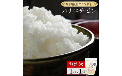 福井県産 ハナエチゼン 無洗米  1kg ＜令和7年産 新米 数量限定 ＞【米 コメ お米 精米 白米 無洗米 玄米 ご飯 飯 華越前 ブランド米 国産】[095-a016]