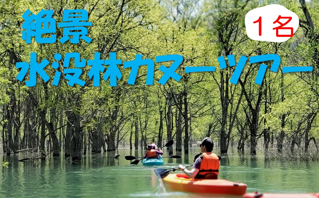 絶景 水没林カヌーツアー（1名様）癒しの自然満喫プレミアムアクティビティ 【フォトジェニックスポット】※3月下旬から5月下旬　