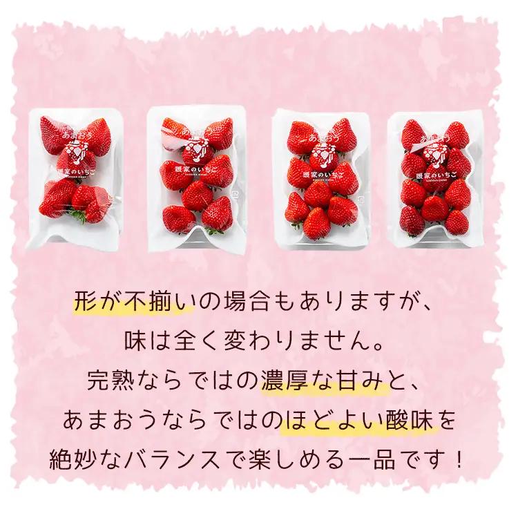 【先行予約／2027年出荷】暖家のいちご　完熟あまおう 約275ｇ×2パック 3Z5-S