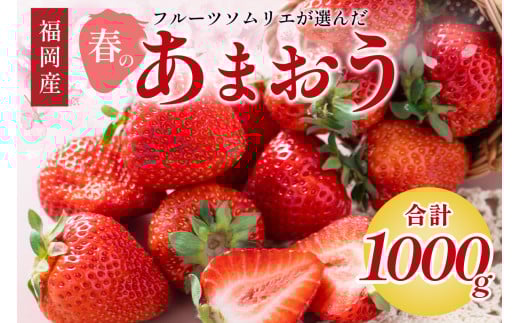 フルーツソムリエが選んだ福岡産【春】あまおう4パック【011-0073】
