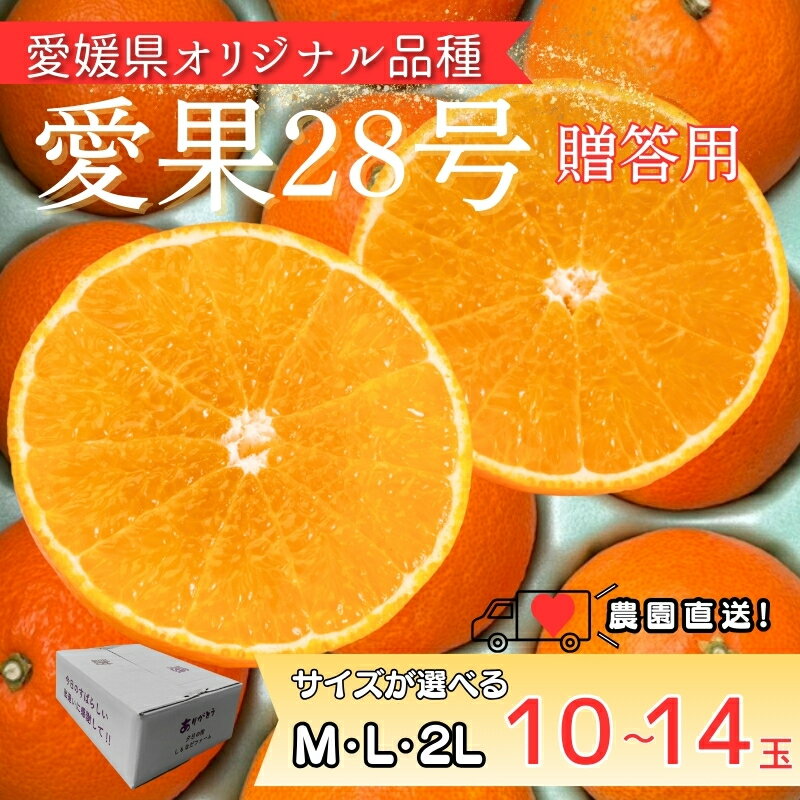 【ふるさと納税】みかん 愛果28号 紅まどんなと同一品種 【サイズが選べる】 Mサイズ Lサイズ 2Lサイズ 贈答用 愛媛みかん 先行予約 数量限定 ＜11月中旬から順次発送予定＞ 愛媛県産 人気 柑橘 フルーツ ゼリー食感 国産 農園直送 しもなだファーム 伊予市