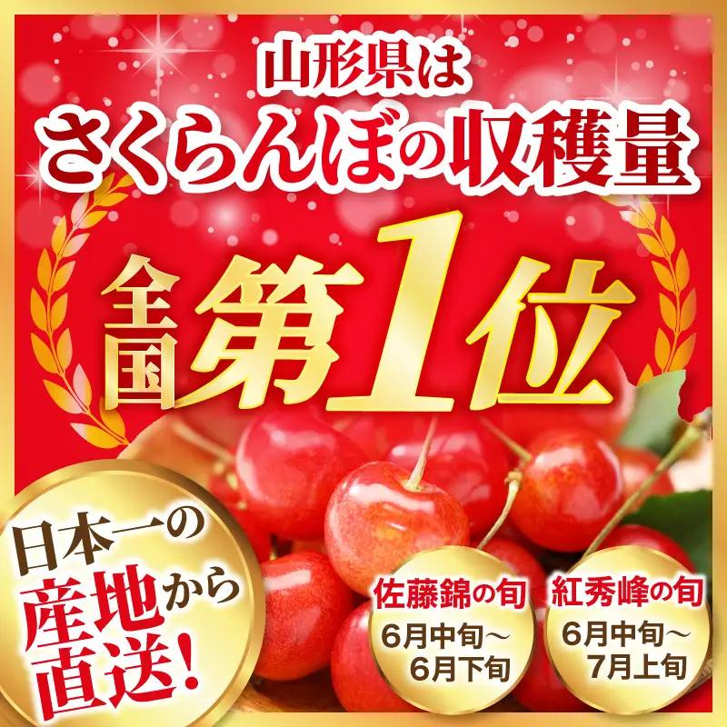 令和9年産 さくらんぼ やまがた紅王 300g 3L玉 特秀品 さくらんぼ