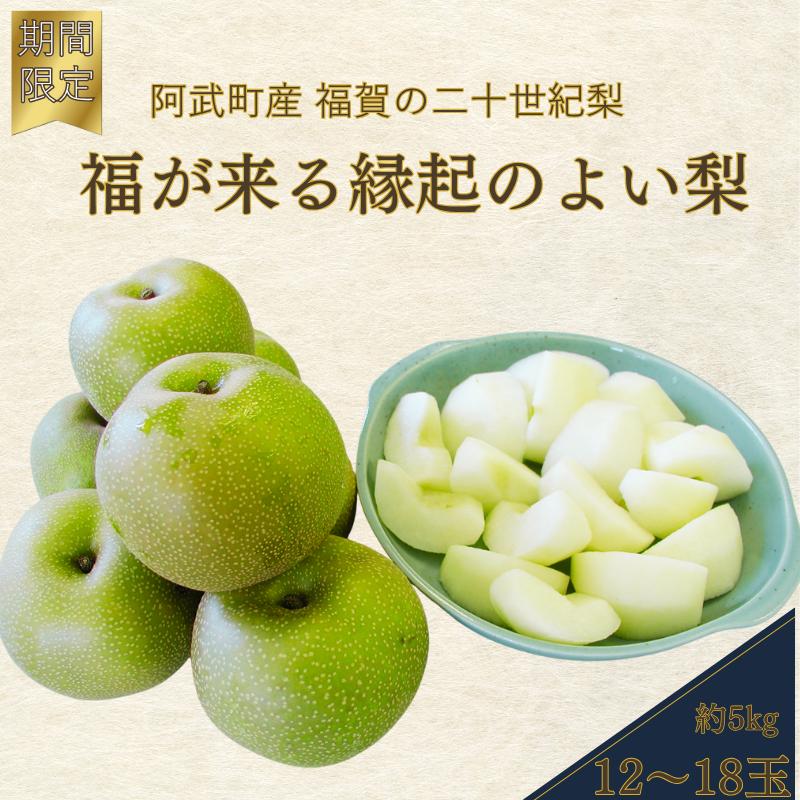 
            【先行予約】福賀の二十世紀梨 約5kg（12～18玉） 阿武町産 高糖度＆安心栽培 昼夜の寒暖差が生むシャキシャキ食感 数量限定 なし 梨 ナシ フルーツ 果物 旬 《お届け：2025年8月下旬～9月15日頃出荷》 山口県 阿武町産 デザート
          