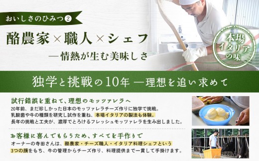 モッツァレラチーズ6個入セット（冷凍）