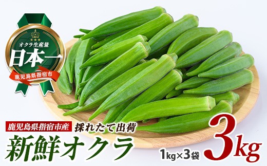 【2026年5月下旬～発送】新鮮オクラ1kg×3袋(アグリスタイル/IB066-005) 野菜 夏野菜 夏 旬 フレッシュ ベジタブル いぶすき 鹿児島
