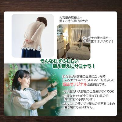 ふるさと納税 山口市 培養土　【植え替え土セット】　多肉植物の土 E102 |  | 03