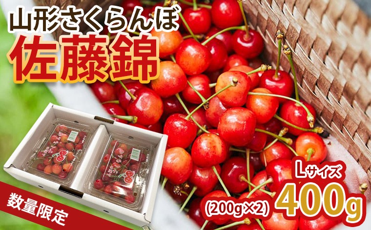 
                  山形の旬な「さくらんぼ」をお届け！佐藤錦 400g L玉 【令和9年産先行予約】FS25-067
                