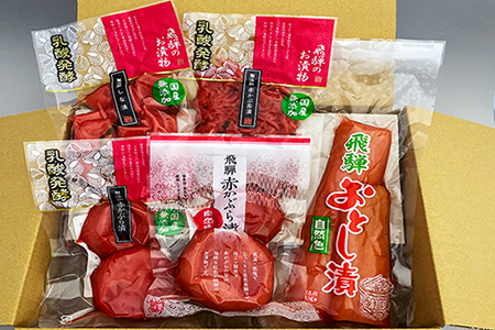 飛騨のお漬物 5種類セット 漬け物 飛騨 詰め合わせ【15-2】