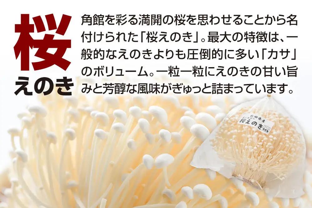 みちのくの小京都・角館が育んだ「おまかせセット」（桜えのき、原木しいたけ、生きくらげ、乾燥きくらげ、訳あり出汁取り用乾燥しいたけ、訳あり乾燥きくらげ）合計約300g(3品前後)きのこ詰合わせセット
