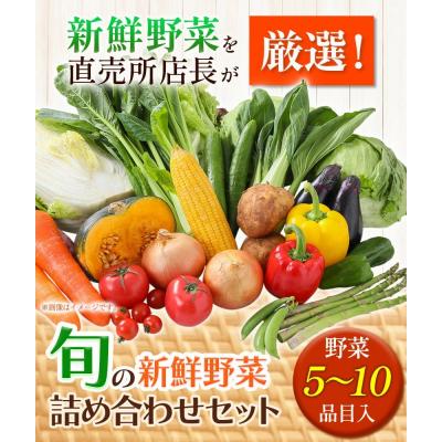 ふるさと納税 矢掛町 【6ヶ月定期便】旬の新鮮野菜詰合わせセット野菜5〜10品目《お申込み月の翌月から出荷開始》