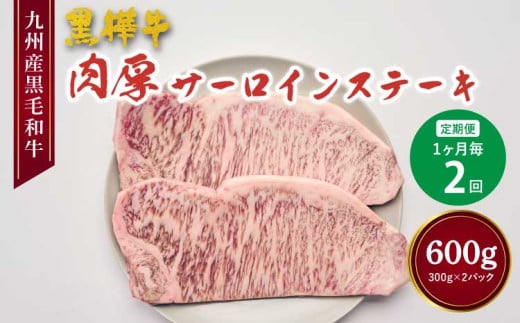 【1ヶ月毎2回定期便】黒毛和牛 肉厚 サーロインステーキ 計約600g （約300g×2回）