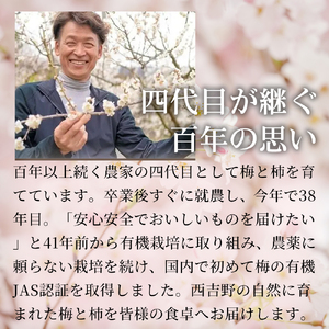 梅しそふりかけ（40g）×5袋 | 梅しそ ふりかけ 紫蘇 しそ シソ 果実 かじつ カジツ 梅 うめ ウメ 梅干し しそ漬け 熊代農園 | 奈良県 五條市