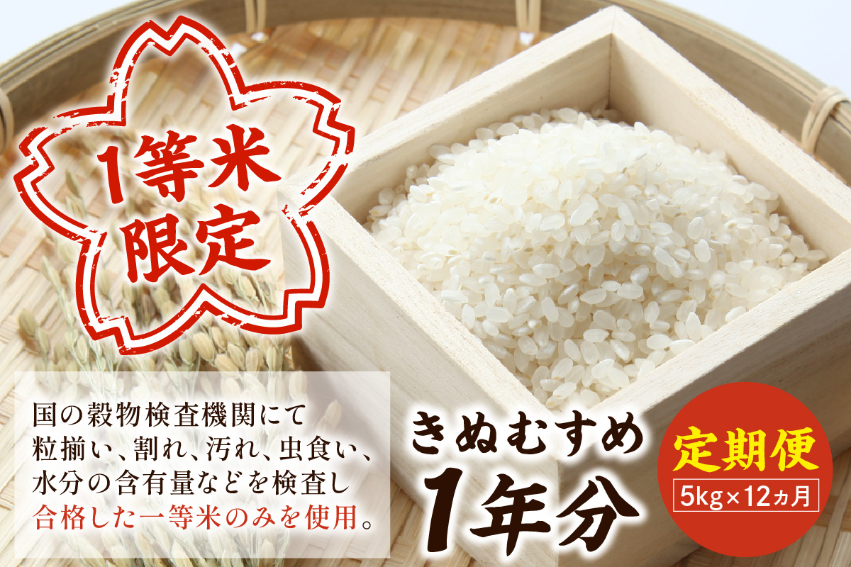 【令和7年産】石見産きぬむすめ 1年分 60kg 12ヶ月（5kg×12回コース）【定期便】 おいしさ自慢のお米 お取り寄せ 特産 お米 精米 白米 ごはん ご飯 コメ 新生活 応援 準備 【197_