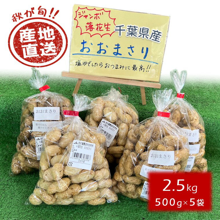 【ふるさと納税】【今秋収穫分】落花生 おおまさり 千葉県産 2.5kg 予約受付 殻付き 生落花生 ピーナッツ 大粒 おつまみ 産地直送 おすすめ 美味しい 予約受付 茹でピーナッツ
