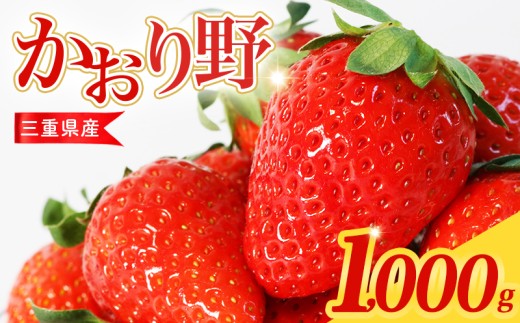 【先行予約】 いちご 250g×4パック かおり野 苺 数量限定 新鮮 産地直送 厳選 フルーツ 果物 くだもの 贈答用 贈答品 贈答 ギフト プレゼント 国産 三重県 伊勢 志摩 南伊勢町 10000円台 一万円台