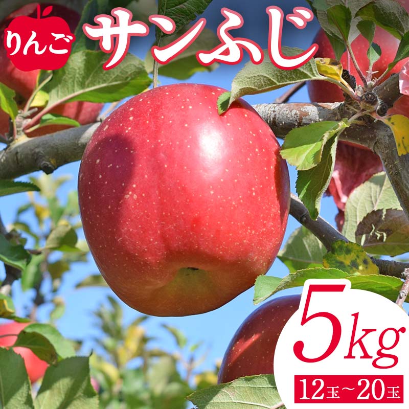 ＜先行予約＞りんご サンふじ5kg（12玉～20玉） リンゴ フルーツ 果物 福島県 鏡石町  F6Q-138