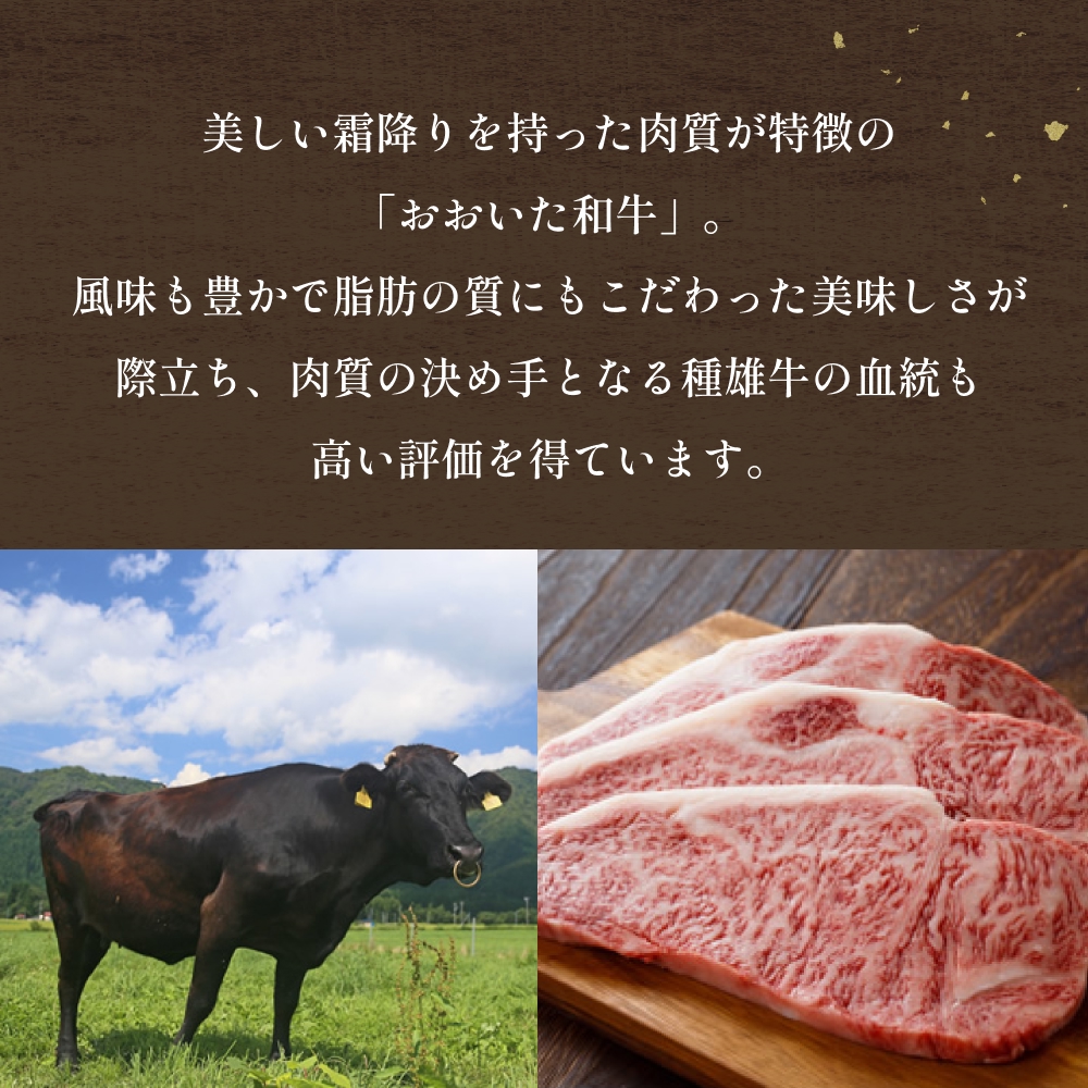 「百年の恵み おおいた和牛 」A5 ロースステーキ用 200g × 2枚 × 3ヶ月 定期便 おおいた和牛 ロースステーキ A5等級 黒毛和牛 大分県産 牛肉 高級肉 霜降り 和牛ステーキ 風味豊か 
