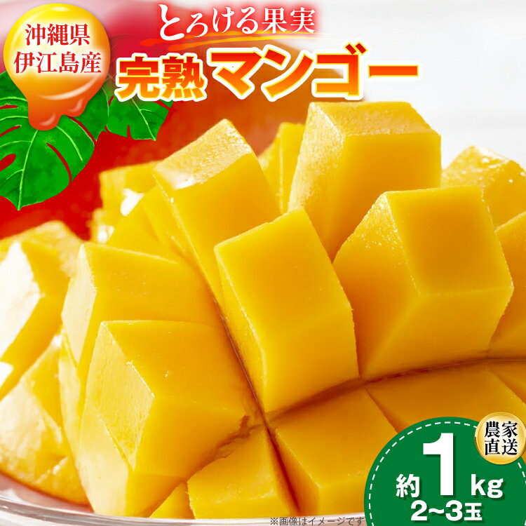 【ふるさと納税】 【期間限定発送】 完熟 マンゴー (アーウィン種) 約 1kg (2〜3玉) [伊江村マンゴー部会 沖縄県 伊江村 ie47bde320012] 沖縄 フルーツ 果物 甘い 夏 濃厚 Mango 果物 果実 くだもの