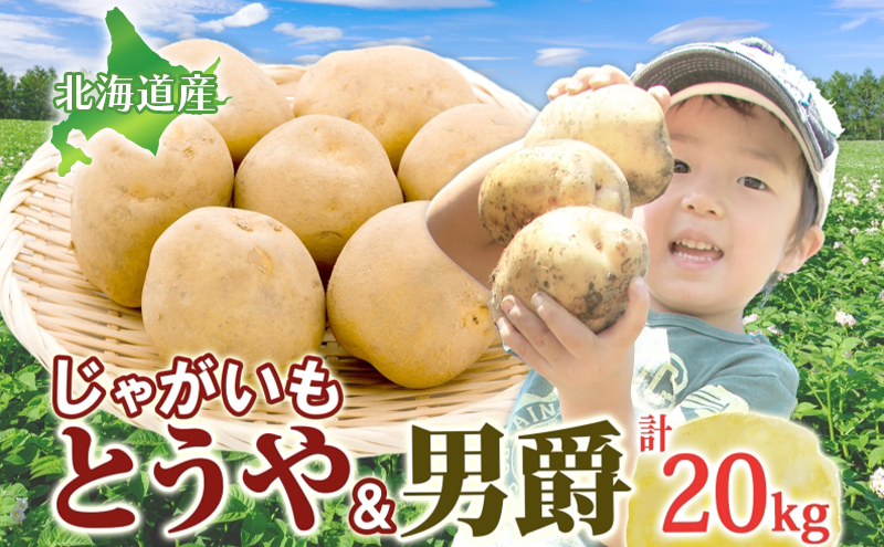 じゃがいも2種セット 計20kg とうや 男爵 2025年9月上旬～12月中旬までお届け ジャガイモ 芋 甘い ホクホク ポテト カレー 調理 料理 煮込み料理 旬 野菜 お取り寄せ 北海道 洞爺湖町