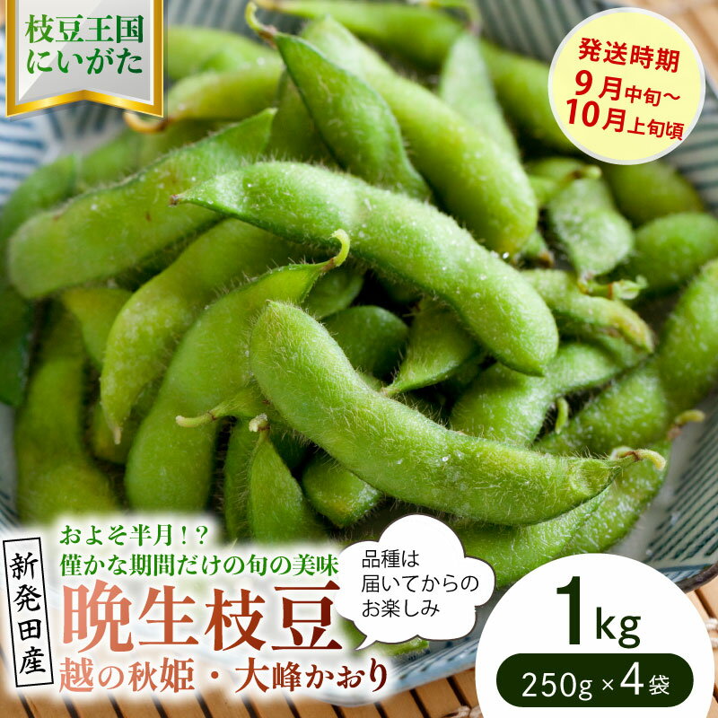 【ふるさと納税】 貴重な枝豆！ 晩生（おくて）枝豆 1kg 【 数量限定 1.0kg 枝豆 茶豆 新潟産 つまみ 晩生 seida024 】