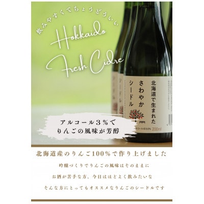 【果実炭酸酒】北海道産りんご100%使用　さわやかシードル200ml×24本