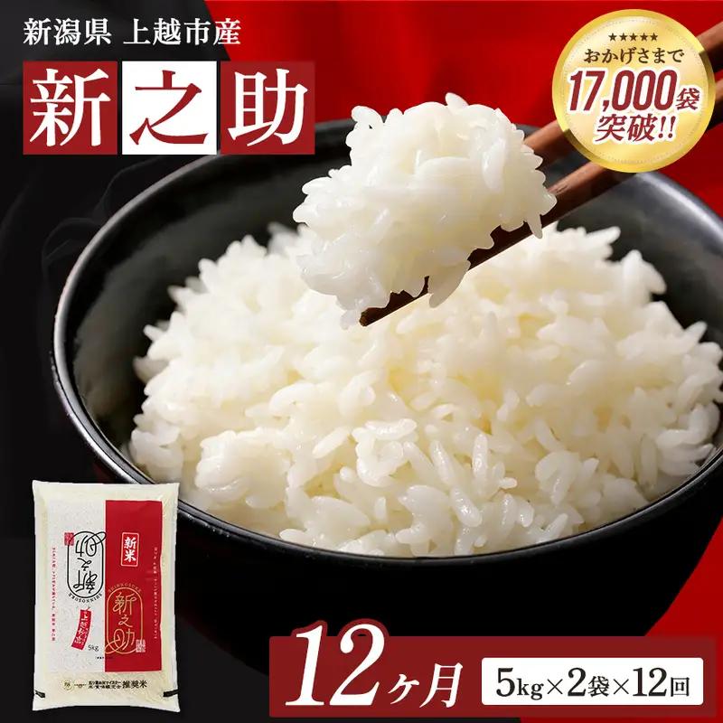 【12ヶ月定期便】令和8年産 新之助 無洗米 10kg （5㎏×2） 12回