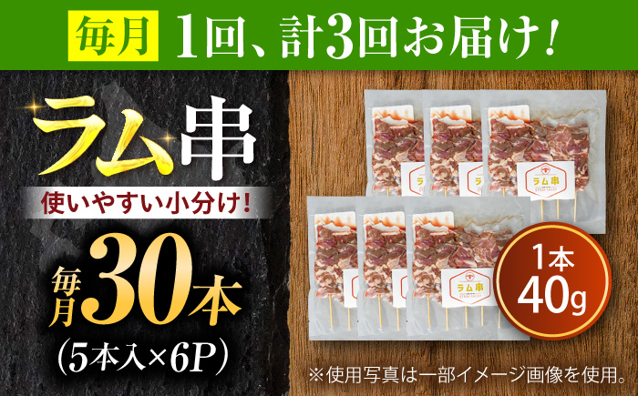 【3回定期便/毎月】ラム串 30本  | ラム ラム肉 羊肉 仔羊 北海道 | ストレイシープ [BOAP026]