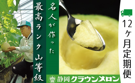メロン 定期便 12ヶ月 山等級 名人 1玉 フルーツ 果物 メロン