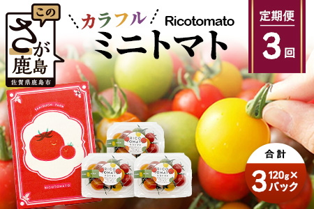 【3回定期便】【先行予約】 カラフルミニトマト 【少量パック】 120gx3p　たにぐちファーム カラフルミニトマト 360g とりこになるトマト 野菜 とまと トマト リコピン 佐賀産 佐賀県 鹿島
