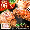 【ふるさと納税】【全6回定期便】牧場直営店の手作りハンバーグ（5個、8個、16個）【川崎畜産】お肉 肉 冷凍 加工品 おかず 惣菜 [IAX012]