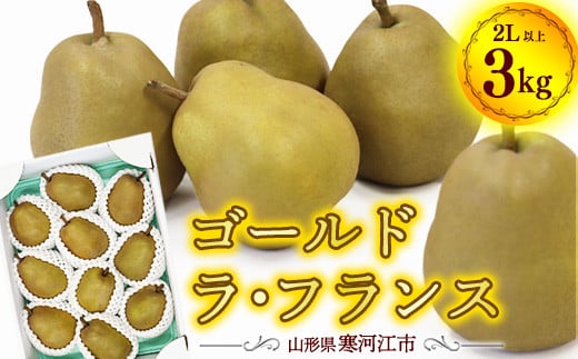 
            希少な金系 ゴールド ラ・フランス 3kg（8～11玉）2Lサイズ以上 サイズおまかせ 山形県産 2025年産 令和7年産 【2025年11月上旬頃～12月下旬頃発送予定】  015-B-OT003
          