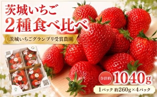いちご [2027年1月中旬順次発送] 完熟 いちご 2品種 食べ比べ 4パック セット 数量限定 先行予約 【茨城いちごグランプリ受賞農園】 いばらキッス ひたち姫 茨城県オリジナル品種 茨城いちご イチゴ 苺 ichigo strawberry ストロベリー 旬 フルーツ 果物 果実 人気苺 ふるさと納税苺 おすすめ苺 ギフト 国産 関東 茨城県 茨城 筑西市 筑西 いちごのひろせ