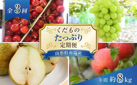 【令和6年産先行予約】 《定期便3回》 くだもの”たっぷり”定期便 『南陽中央青果市場』 山形県 南陽市 [1970]