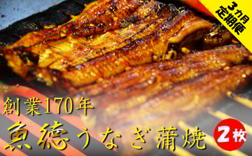 うなぎ 鰻 定期便 3回 蒲焼 2尾 セット 真空 小分け ウナギ うなぎ蒲焼 鰻蒲焼き 蒲焼き かば焼き 真空パック 個包装 unagi eel